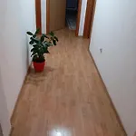 Dzenana Apartman
